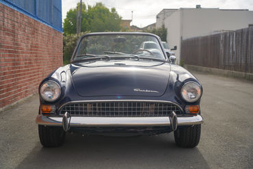 240601 Tiger W 01