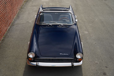 240601 Tiger W 02