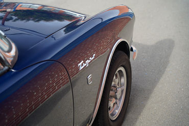 240601 Tiger W 12