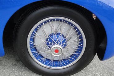 41981